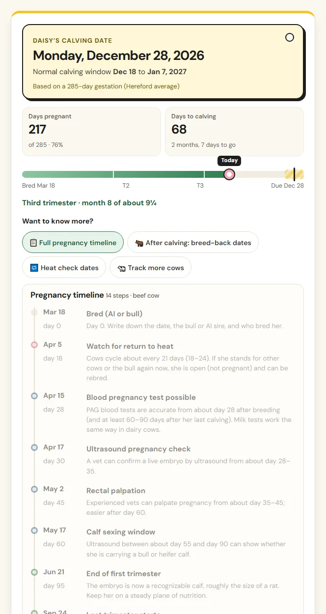 Cow gestation calculator extras: full pregnancy timeline with dates and the herd calving list